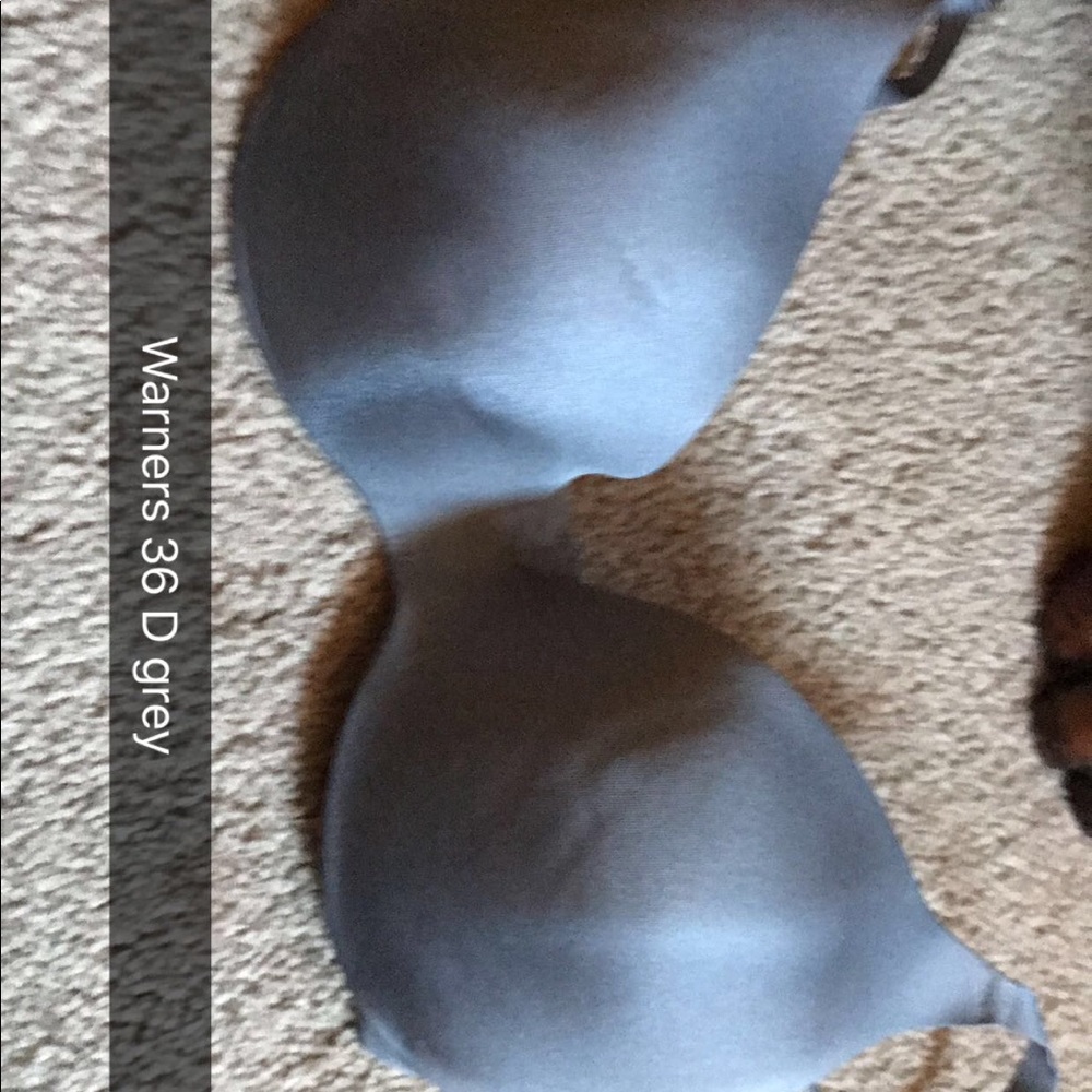 COPY - 36D grey bra by warners